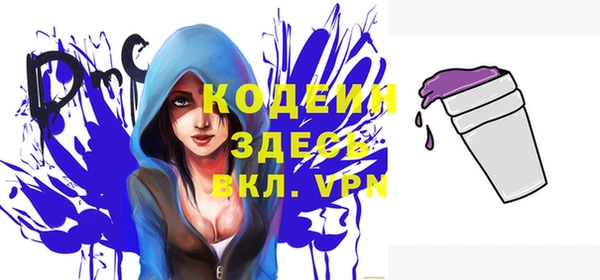 соль ск Няндома