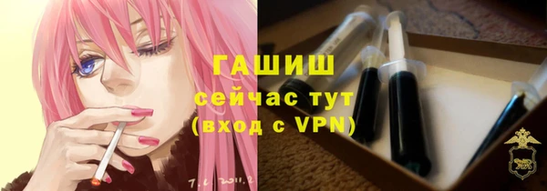 соль ск Няндома