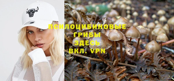 MDMA Нязепетровск