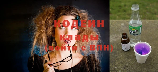 соль ск Няндома