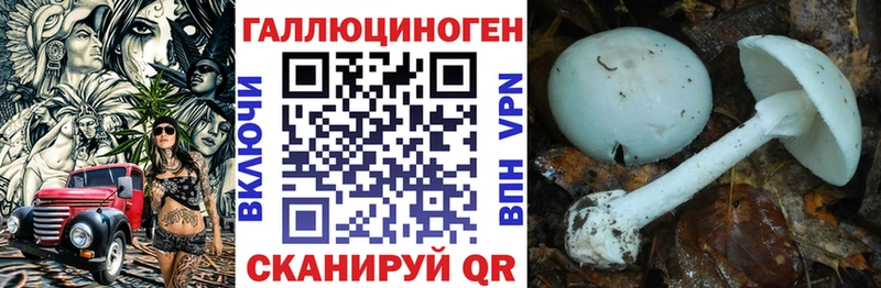 Галлюциногенные грибы прущие грибы  купить наркоту  Советск 