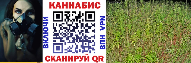 Конопля планчик  KRAKEN ссылка  Советск 